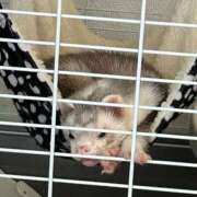 ヒメ日記 2025/11/01 17:59 投稿 おと CECIL