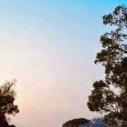 ひすい こんばんは 神戸人妻花壇