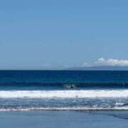 ヒメ日記 2025/08/21 08:04 投稿 みどり 元町奥さま