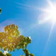 ヒメ日記 2025/09/10 08:04 投稿 みどり 元町奥さま