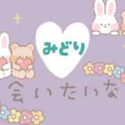 ヒメ日記 2025/09/30 23:14 投稿 みどり 元町奥さま