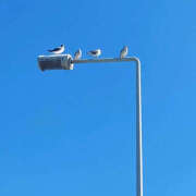 ヒメ日記 2025/10/03 10:14 投稿 みどり 元町奥さま