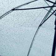 ヒメ日記 2025/10/04 08:18 投稿 みどり 元町奥さま