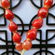 ヒメ日記 2025/10/06 07:54 投稿 みどり 元町奥さま