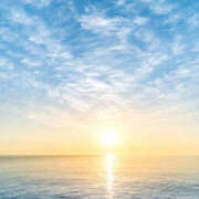 ヒメ日記 2025/10/21 07:44 投稿 みどり 元町奥さま