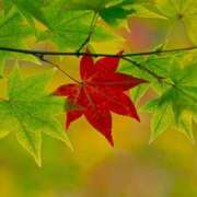 ヒメ日記 2025/10/23 08:24 投稿 みどり 元町奥さま