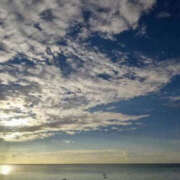 ヒメ日記 2025/11/11 08:24 投稿 みどり 元町奥さま