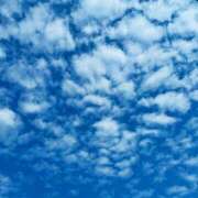 ヒメ日記 2025/11/12 09:22 投稿 みどり 元町奥さま