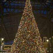 ヒメ日記 2025/11/18 16:34 投稿 みどり 元町奥さま