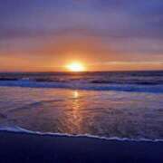 ヒメ日記 2025/12/15 10:24 投稿 みどり 元町奥さま