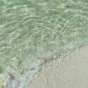 ヒメ日記 2026/02/01 18:51 投稿 みどり 元町奥さま