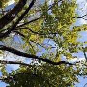 ヒメ日記 2026/03/10 07:54 投稿 みどり 元町奥さま