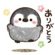 ヒメ日記 2025/11/18 15:55 投稿 玉置【たまき】 丸妻 西船橋店