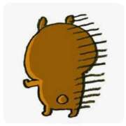 ヒメ日記 2025/11/26 21:07 投稿 玉置【たまき】 丸妻 西船橋店