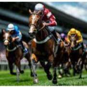 ヒメ日記 2025/12/14 23:40 投稿 玉置【たまき】 丸妻 西船橋店