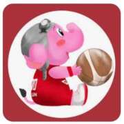 ヒメ日記 2026/02/01 18:41 投稿 玉置【たまき】 丸妻 西船橋店