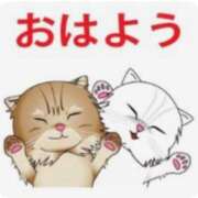 ヒメ日記 2026/02/20 08:36 投稿 玉置【たまき】 丸妻 西船橋店