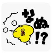 ヒメ日記 2026/02/20 10:41 投稿 玉置【たまき】 丸妻 西船橋店