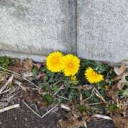 ヒメ日記 2026/02/23 16:27 投稿 玉置【たまき】 丸妻 西船橋店