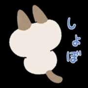 ヒメ日記 2026/02/28 19:56 投稿 玉置【たまき】 丸妻 西船橋店