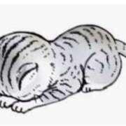 ヒメ日記 2026/03/03 07:54 投稿 玉置【たまき】 丸妻 西船橋店