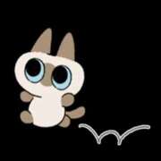 ヒメ日記 2026/03/06 17:10 投稿 玉置【たまき】 丸妻 西船橋店