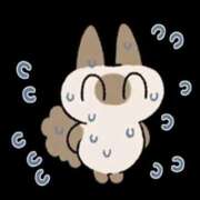 ヒメ日記 2026/04/01 11:59 投稿 玉置【たまき】 丸妻 西船橋店