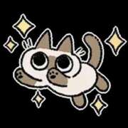 玉置【たまき】 やったー＼(^o^)／ 丸妻 西船橋店
