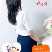 ヒメ日記 2025/09/26 13:47 投稿 上杉亜弥 プルデリR40