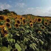 ヒメ日記 2025/08/13 12:02 投稿 有栖【アリス】 LOVEキタ兎我野店