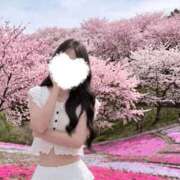 有栖【アリス】 ノースリーブ✨ LOVEキタ兎我野店
