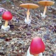 ヒメ日記 2025/10/12 11:05 投稿 しょうこ 横浜熟女MAX