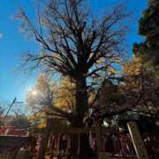 ヒメ日記 2025/12/07 22:05 投稿 しょうこ 横浜熟女MAX