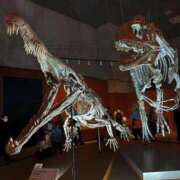 ヒメ日記 2025/12/11 11:55 投稿 しょうこ 横浜熟女MAX