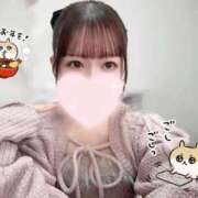 まみ★感度抜群のイチャ好き美女 🐴 Bell～S級美女お姉様・人妻デリヘル～