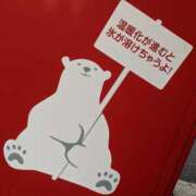 ヒメ日記 2025/08/26 08:30 投稿 月森琴音 五十路マダム愛されたい熟女たち岡山店（カサブランカグループ）