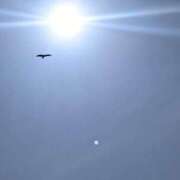 ヒメ日記 2025/09/11 08:16 投稿 月森琴音 五十路マダム愛されたい熟女たち岡山店（カサブランカグループ）