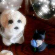 ヒメ日記 2025/09/21 07:34 投稿 月森琴音 五十路マダム愛されたい熟女たち岡山店（カサブランカグループ）