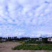 ヒメ日記 2025/09/21 15:48 投稿 月森琴音 五十路マダム愛されたい熟女たち岡山店（カサブランカグループ）