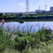 ヒメ日記 2025/10/08 19:04 投稿 月森琴音 五十路マダム愛されたい熟女たち岡山店（カサブランカグループ）