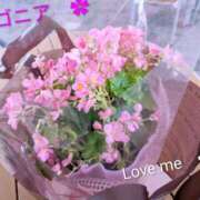 ヒメ日記 2025/10/21 07:48 投稿 月森琴音 五十路マダム愛されたい熟女たち岡山店（カサブランカグループ）