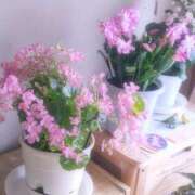 ヒメ日記 2025/10/26 10:34 投稿 月森琴音 五十路マダム愛されたい熟女たち岡山店（カサブランカグループ）