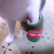 月森琴音 こんにちは 五十路マダム愛されたい熟女たち岡山店（カサブランカグループ）