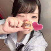 にあ たぬたぬのまんじゅう ハピネス＆ドリーム 松山道後温泉