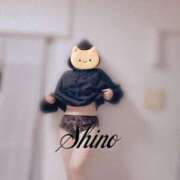 ヒメ日記 2025/11/23 10:33 投稿 しの 丸妻 池袋店