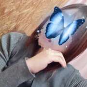 ヒメ日記 2025/11/24 17:28 投稿 しの 丸妻 池袋店