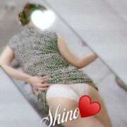 ヒメ日記 2025/12/13 17:09 投稿 しの 丸妻 池袋店