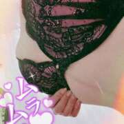 ヒメ日記 2025/12/27 14:01 投稿 しの 丸妻 池袋店