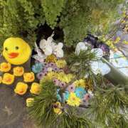 ヒメ日記 2026/01/09 10:15 投稿 しの 丸妻 池袋店