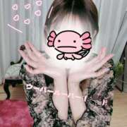 ヒメ日記 2026/01/16 12:04 投稿 しの 丸妻 池袋店